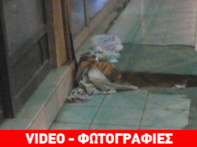 Λέσβος: Κοριτσάκι έπεσε από τον τρίτο όροφο